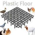 Multi Color Plastic Floor Mat – 1x1 Sqft Attachable Panel for Pets, Birds & Farm Animals red blue green yellow. 