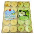 Tea Candles - Off White And Green Color - Pack Of 20 Tea Candles. 