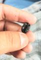 100% Original Peridot Zabarjad (Beryl )  Gemstone 8.0 crt Stone For Men or Women Ring. 