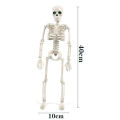 Halloween Skeleton Animated Foldable Plastic Couple Skull Bones Ornaments Party Decoration. 
