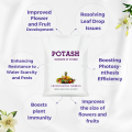 Potash Fertilizer for Plants - High Potassium for Healthy Plant Growth. 