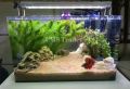 Camel Brown Sand - Sea Sand - Best for Planted and Fresh Water Fish Tank - Terrarium Sand - DIY Epoxy Resin Beach Sand - 1 KG. 