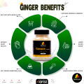 Spices.pk Bundle-07 ( Ginger Powder + Garlic Powder ) Adrak Powder + Lehsan Powder. 