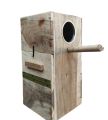 Kashmiri Raw Parrots Breading Box (Kikar Wood). 