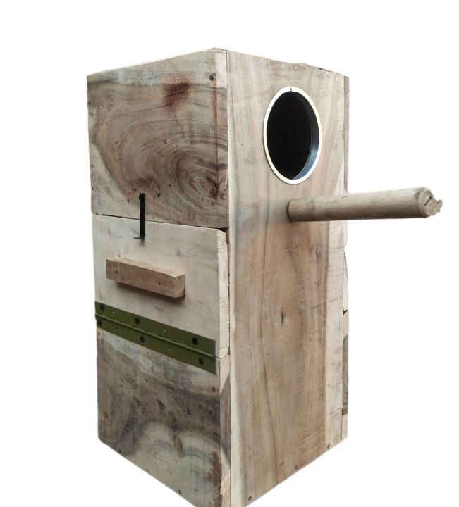 Kashmiri Raw Parrots Breading Box (Kikar Wood)