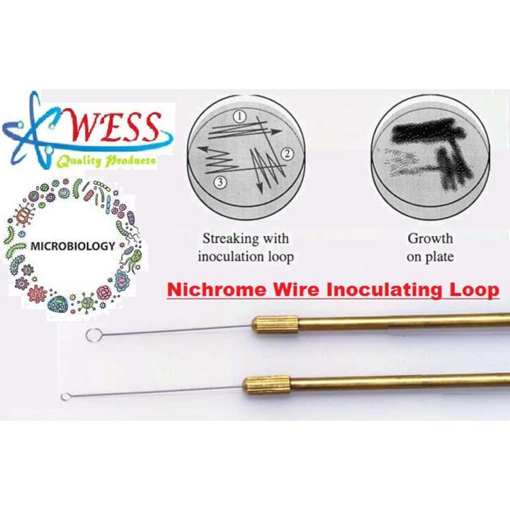 Nichrome Wire Inoculating Loop For Culture Media Microbiology Lab Brass Made