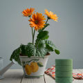 Flower Foam Block Delicate Texture Large Round DIY Flower Arrangement Foam Brick. 