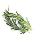 Rosemary water, for hair growth, spray 100ml, Healthy & Strong By Authentic Rich. 