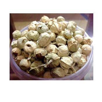 Paneer%20Booti%20-%20Paneer%20Dodi%20-%20114%20Grams%20-%20Image%204