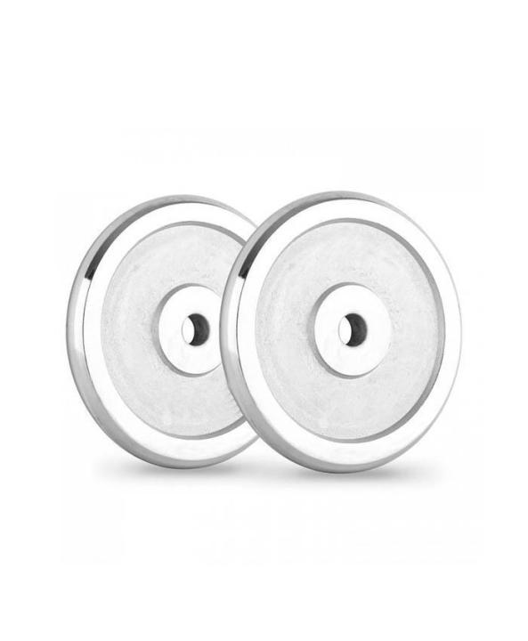 Gym Silver Weight Plate Pair - 10 Kg