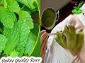 Mint powder 100gms for face (mint powder for skin, Pudina powder for face, peppermint powder) 100% Pure. 