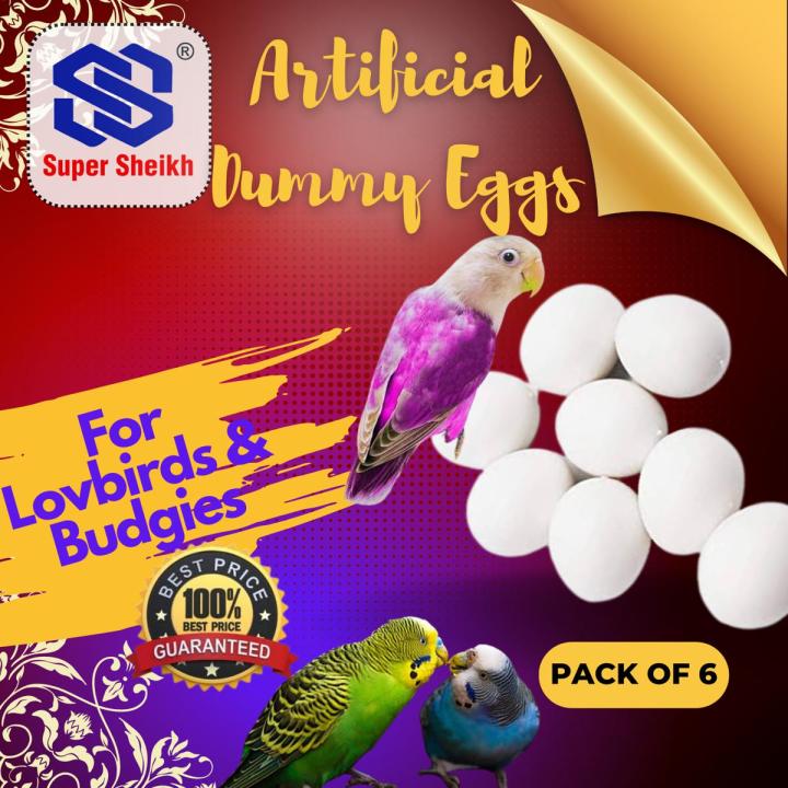 Pack of 6 Artificial - Plastic Eggs for Broody Bird for Lovebirds and Budgies