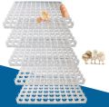 Portable 5pcs 88 Eggs Incubator Tray , Chicken Duck Tray Egg Hatcher Storage Container for Home Farm Nestling Hatching. 
