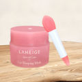 Pink Mini Double-head Silicone Lip Brush Lip Cute Mask Spoon Beauty Tool. 