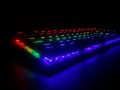 Jedel - Gaming Kl95 / Blue Keys Mechanical RGB Gaming Keyboard. 
