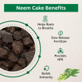 Organic Neem Cake powder Fertilizer for plants - Pest Control - نیم کیک - Natural Khad - Home Garden Fertilizer for Vegetable & Flower - Neem Khali powder for Healthy Plants - Improved Soil Health - Eco-Friendly by Moji Mall. 