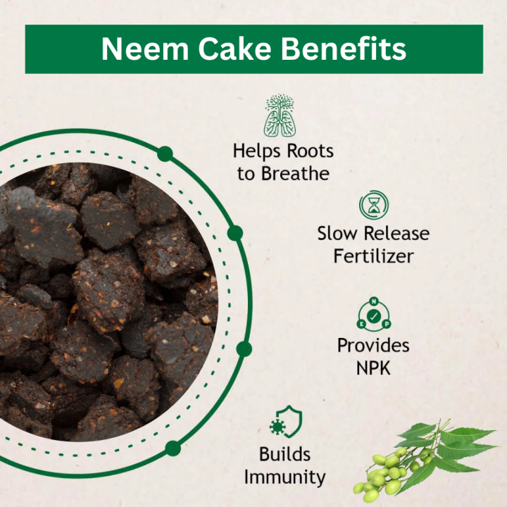 Organic%20Neem%20Cake%20powder%20Fertilizer%20for%20plants%20-%20Pest%20Control%20-%20%D9%86%DB%8C%D9%85%20%DA%A9%DB%8C%DA%A9%20-%20Natural%20Khad%20-%20Home%20Garden%20Fertilizer%20for%20Vegetable%20&%20Flower%20-%20Neem%20Khali%20powder%20for%20Healthy%20Plants%20-%20Improved%20Soil%20Health%20-%20Eco-Friendly%20by%20Moji%20Mall%20-%20Image%202