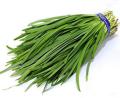 Garlic chives seeds- herb seeds-imported by hk dealer. 