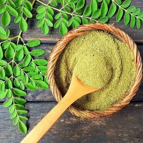 Organic%20Superfood%20Pakistan%20Moringa%20Leaf%20Powder,%20Family%20Pack%20250%20Gram,%20100%20%25%20Raw%20&%20Organic%20Moringa%20o%20li%20e%20f%20era%20%20Leaf%20Powder,%20Original%20Moringa%20Product%20by%20Organic%20Superfood%20Pakistan%20-%20Image%202