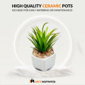 Artificial Aloe Vera Plant Ceramic Plant Pot. 