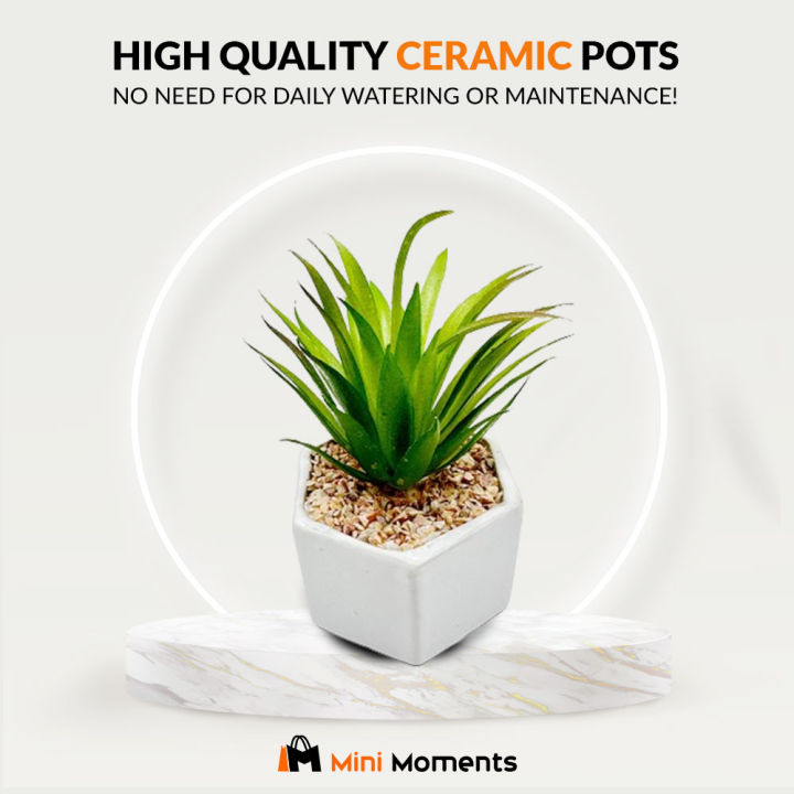 Artificial Aloe Vera Plant Ceramic Plant Pot