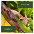 Garden Safe Slug And Snail Bait 400 grams pack (Best Quality). 