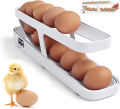 Egg Holder for Fridge, Egg Dispenser, Automatic Rolling Egg Container, 2-Tier Egg Dispenser, Space Saving Egg Tray for Refrigerator, Egg Holder, Refrigerator, Rolldown Egg Dispenser Auto Rolling Egg Holder Storage Rack By TINTED HEAVEN. 