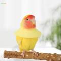 Parrot Anti Bite Collar, Parrot Neck Protective Collar, Anti Grab Feather Plucking, Breathable for. 