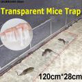 Invisible And Transparent Rat Killing Magic Carpet Rodents Moles Trap Rat Mice Trap Clear Invisible Mouse Glue Trap 120 x 28cm. 