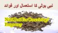 Nabi Booti Nabi Booti Leaves nabi booti in pakistan 20g. 