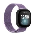 For Fitbit Versa 3 / Fitbit Sense Magnetic Milano Watch Band, Size:Large Size. 