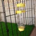Bird Water Bottle Feeder with Stainless Steel Ball Nozzle 250ml, parrots, rabbits. 