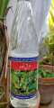 Arq-e-Mako Is a Herbal Tonic For Treating Inflammatory Conditions of the Liver, Stomach and Spleen 750ml مکو. 