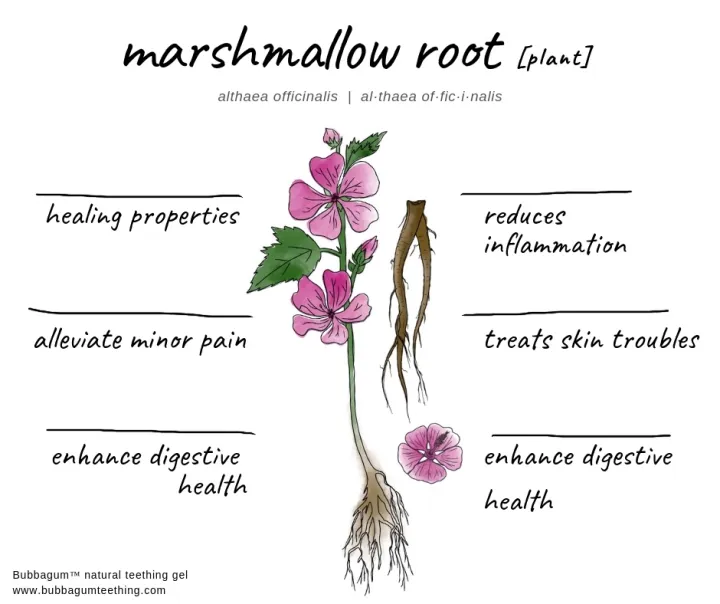 Organic%20Marshmallow%20Root%20Powder%20114%20g%20-%20Image%208