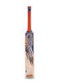 CA Plus 2000 Hard Ball Cricket Bat. 