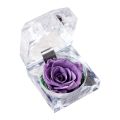 Ring Holder All Match Micro Landscape Forever Rose Ring Box. 