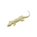 Kids Rubber Lizard Prank - Pack of 2 Lizards. 