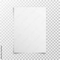 A4 Paper Beige Tone / Off White Sheets Paper Pack of 50 Off White Paper Printer Copier,Documents,Reports,Homework & Drawing. 