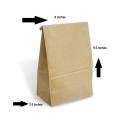Kraft Brown Paper Bags Small Lunch Bags for Packing Lunch and Snacks and Used For Arts & Crafts Projects. 