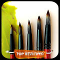 Round Royal Art Paint Brush Set of 5 - Premium Quality. 