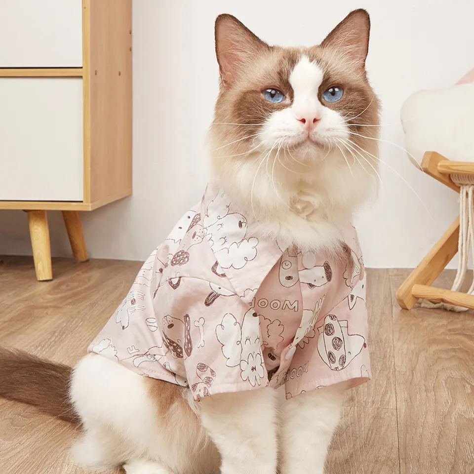 pet clothing, pet care