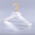 5 Pcs Clear Clothes Hangers with Gold Hook,Hanger for Lady Kids Small. 