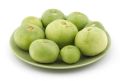 Round Gourd ( GHiya Kaddu)  Desi Selected Seeds ( approximately 30 seeds). 