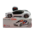 Kids Remote Control Car Model R/C Car 2 Channel Assorted Color. 