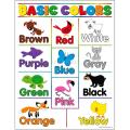 Basic Colors Poster Panaflex Home School Decoration 2x3 feet. 
