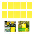 Dual-Sided Yellow Sticky Traps for Flying Plant Insect Such Fungus Gnats, Whiteflies, Aphids, Leafminers,Thrips, 6x4 Inch. 