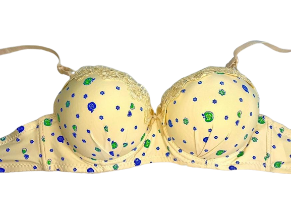 Push-Up%20Double%20Padded%20Bra%20-%20A%20Stylish%20and%20Comfortable%20Choice%20for%20Girls%20Looking%20for%20Extra%20Lift%20and%20Support.%20-%20Image%204