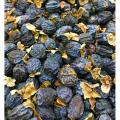 Black Japanese fruit persimmon 1000gm. 