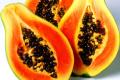 10Pcs Red Dwarf Papaya Seeds. 