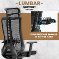 Ergonomic Executive Chair with Adjustable Lumbar Support -M-30HR ( Upgraded Version ) - 3 Years Warranty. 